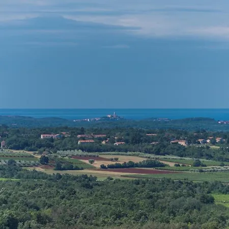 Viva With Shared Pool *