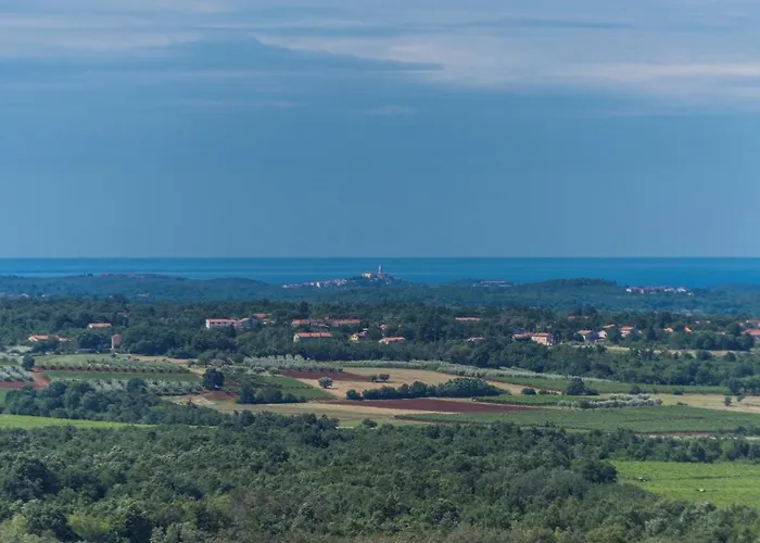 Viva With Shared Pool *