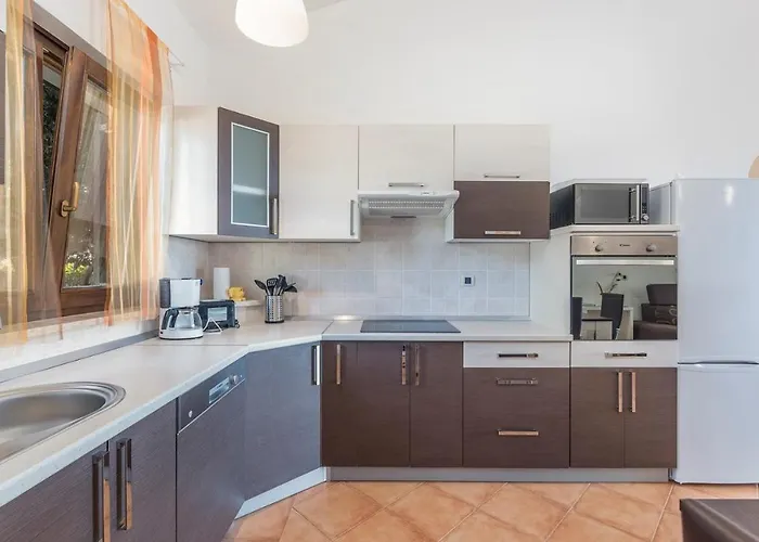 Viva With Shared Pool *